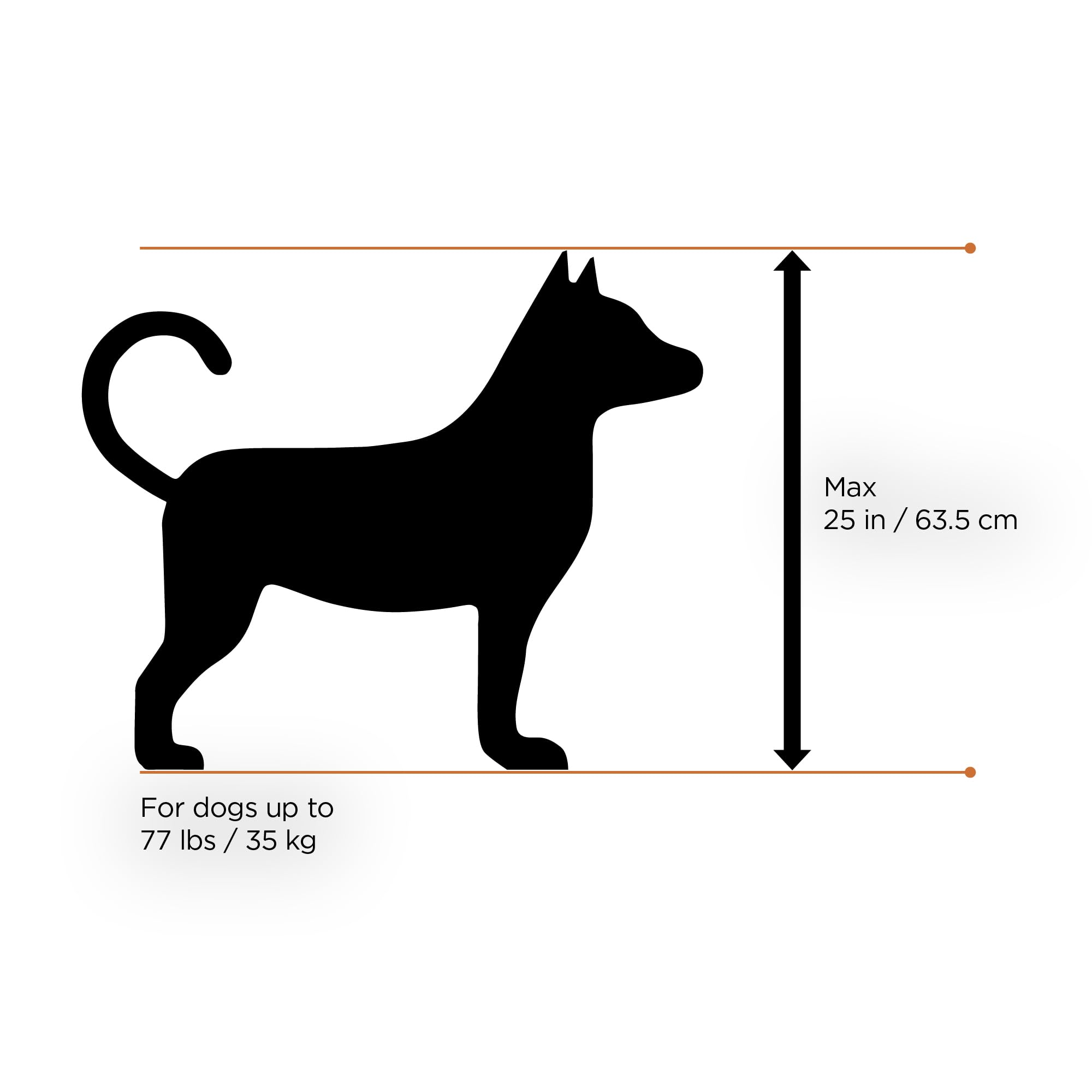 thule-bexey-pet-bike-trailer-for-small-large-dogs-medium-size-foldable-padded-in image 3