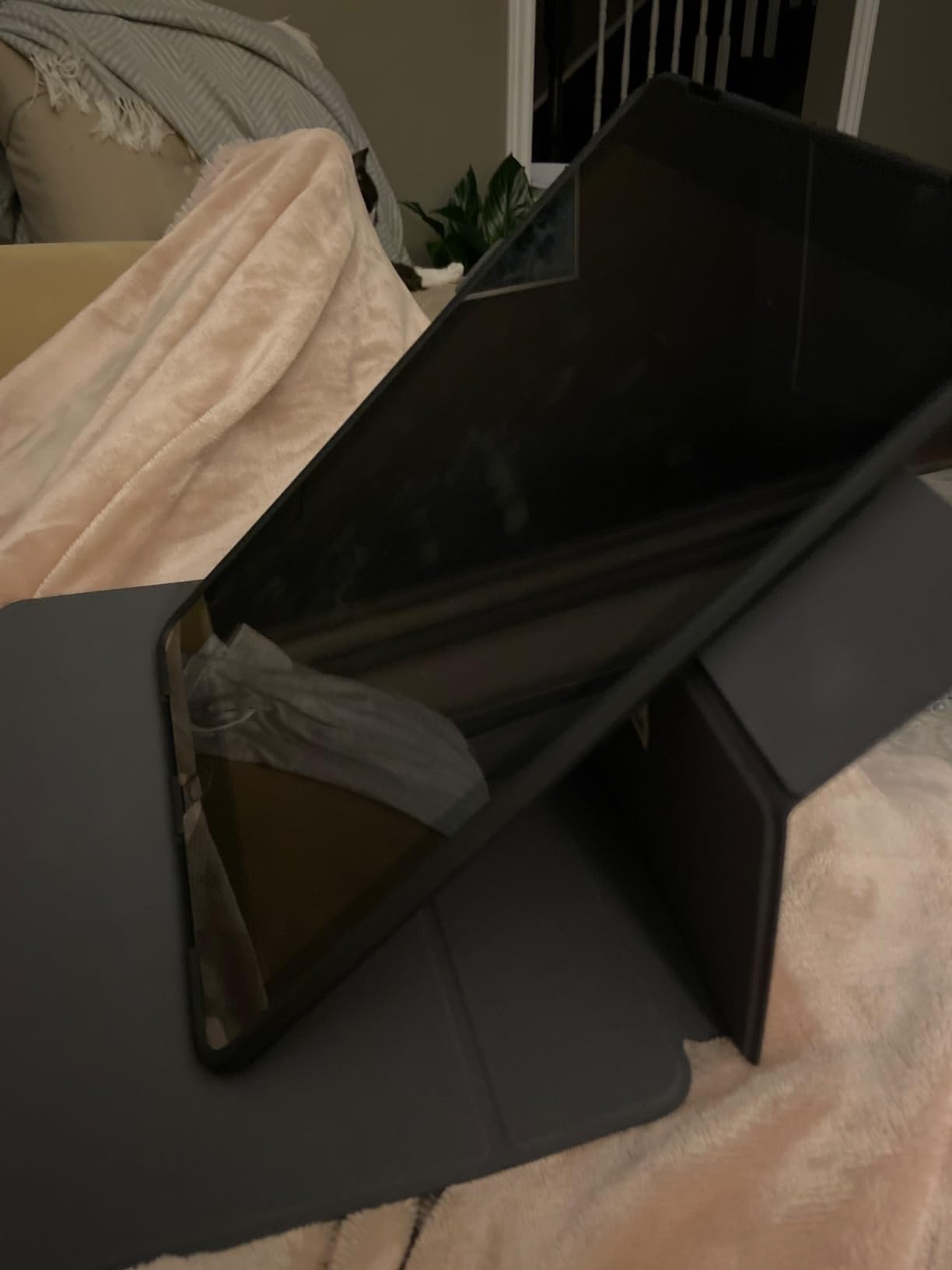 Nice case