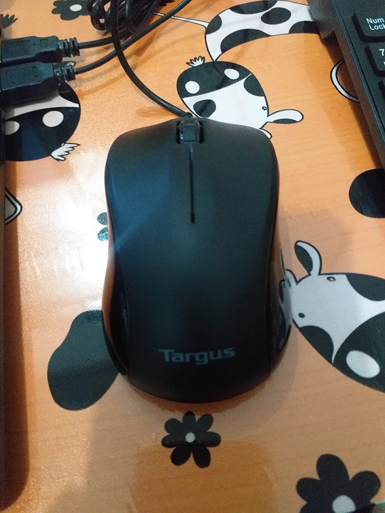 Perfect little mouse for travel