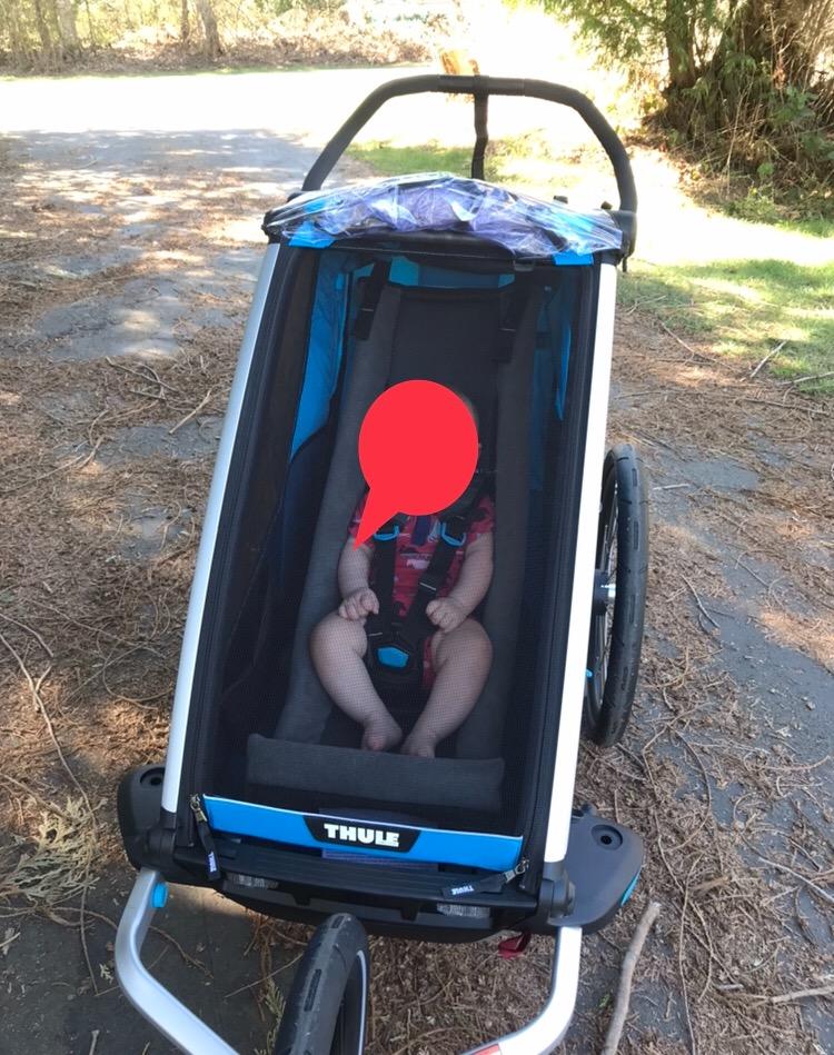 Must-have for Chariot
