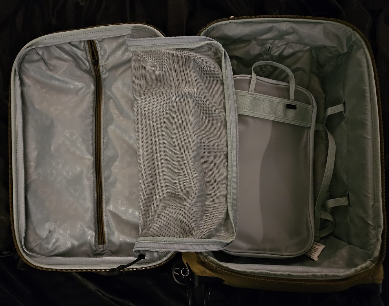 My new favorite travel companion