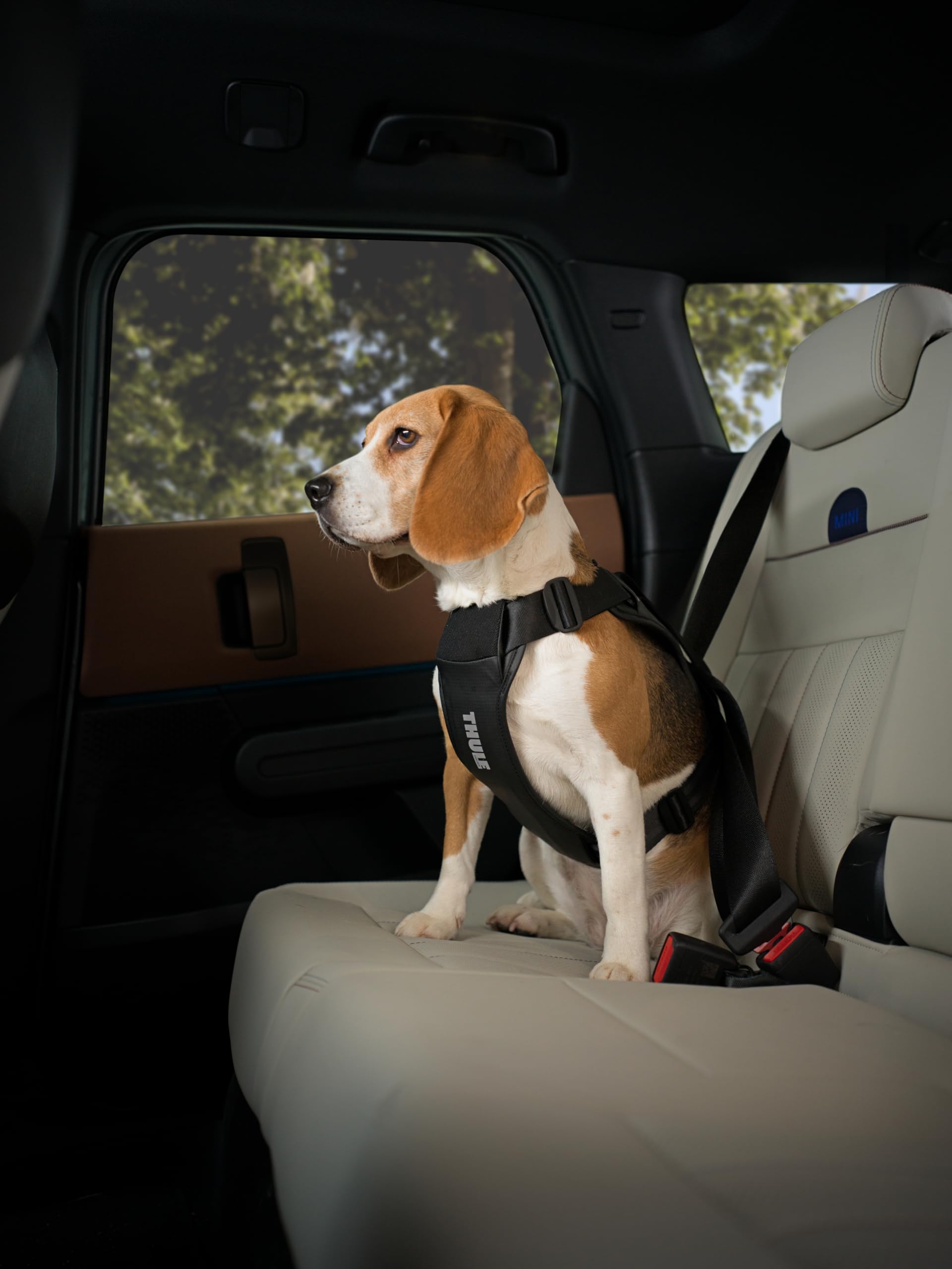 thule-cappy-dog-harness-m-crash-tested-safety-harness image 6