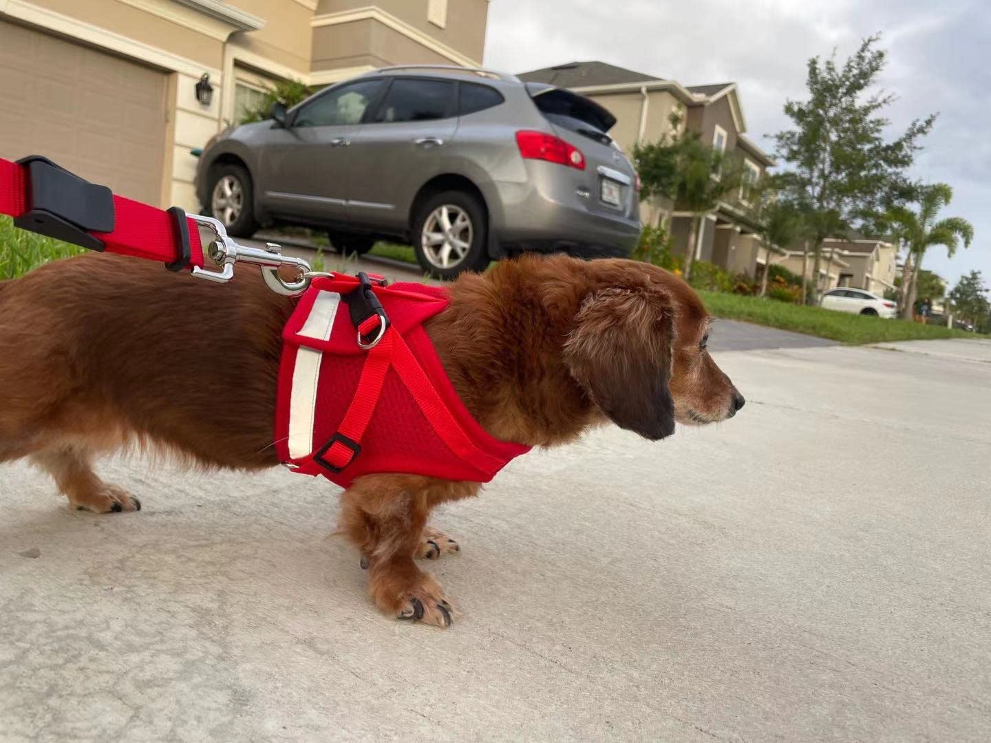 Perfect for everyday walks