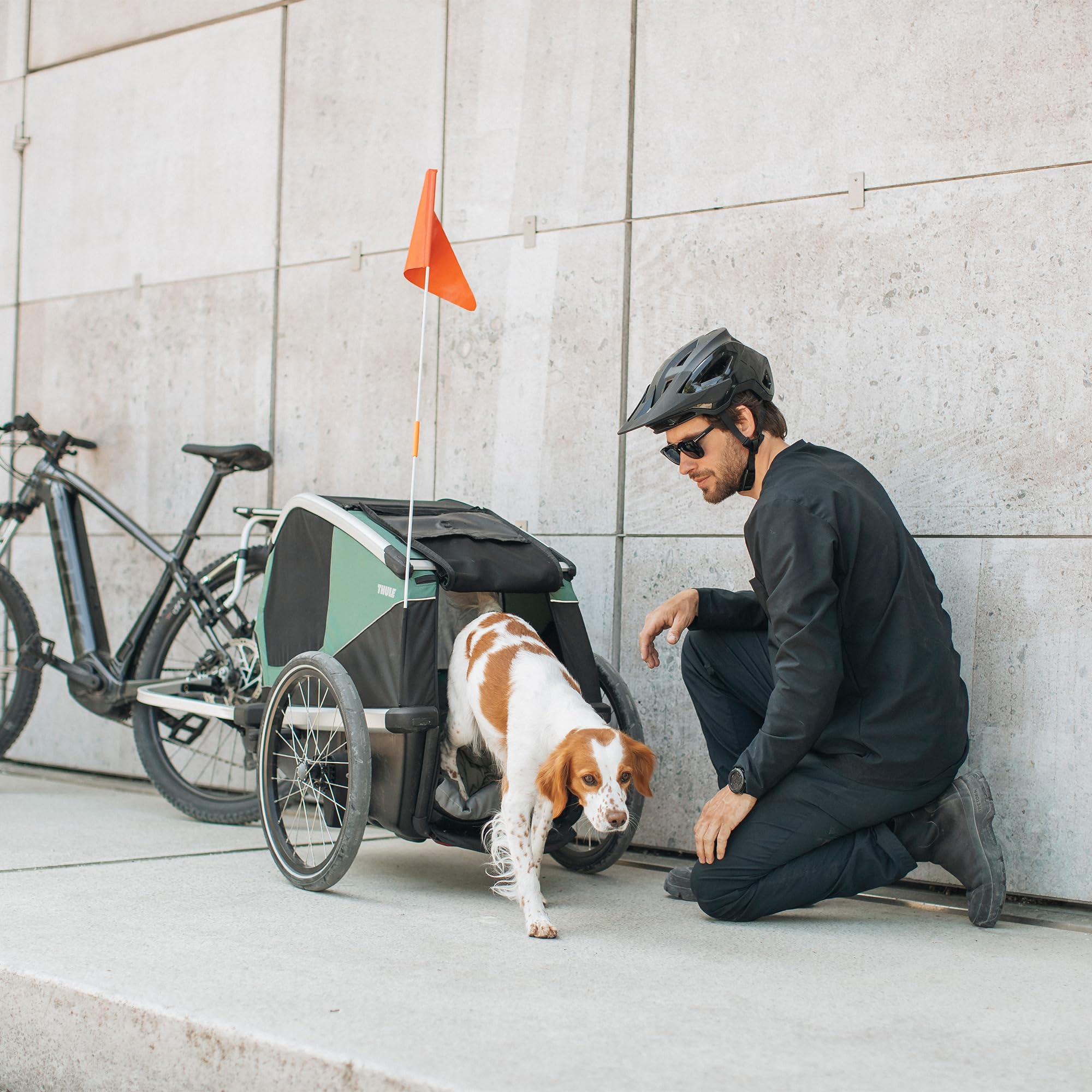 thule-bexey-pet-bike-trailer-for-small-large-dogs-medium-size-foldable-padded-in image 6