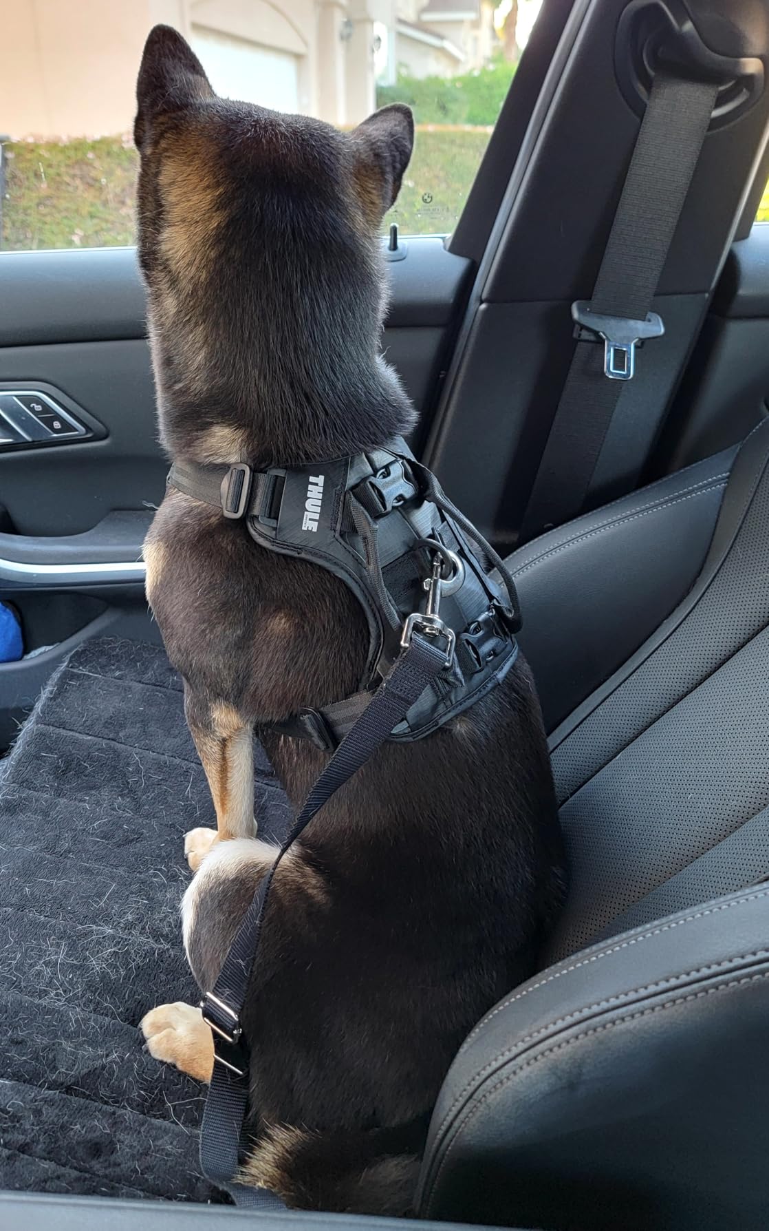 Peace of mind on road trips