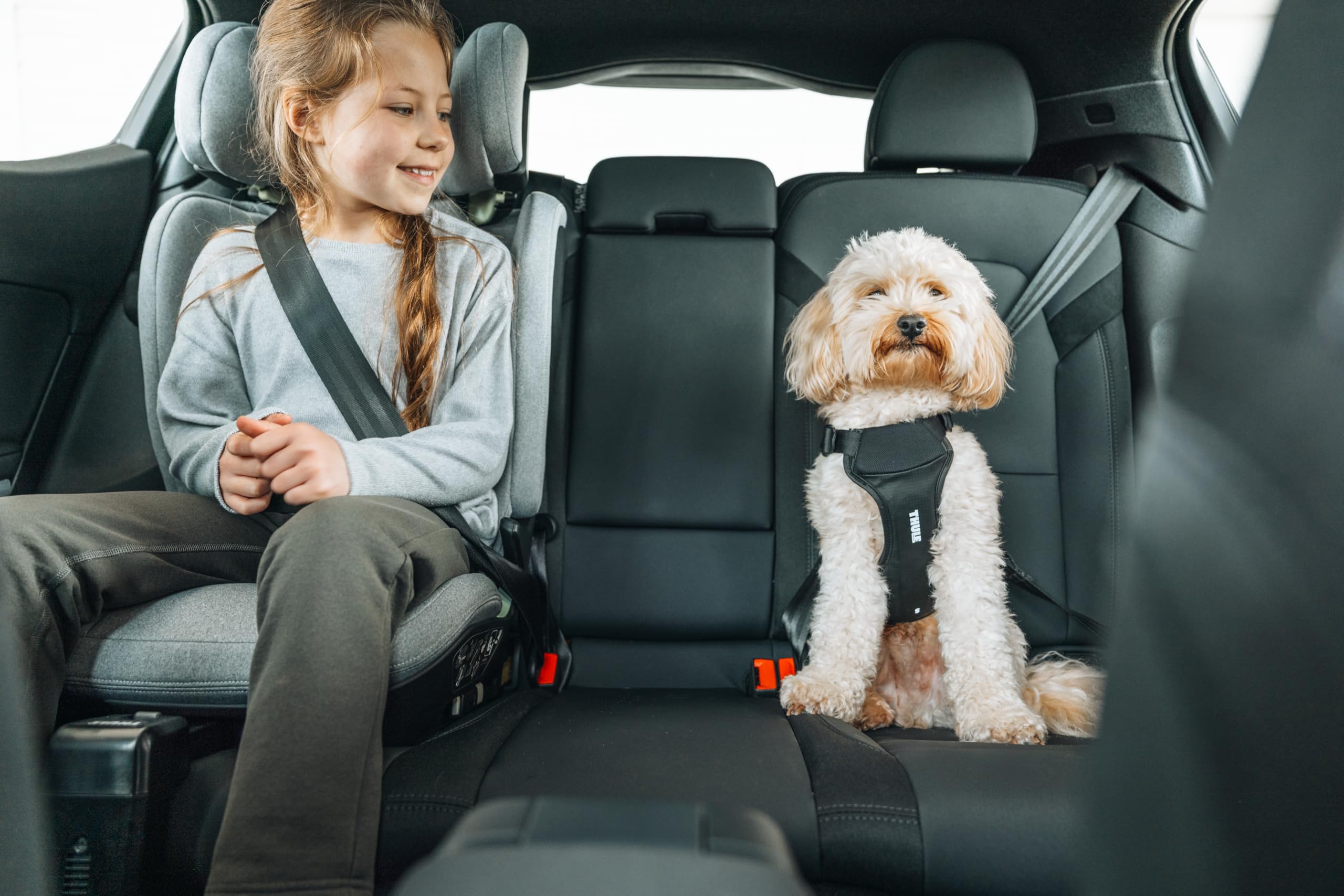 thule-cappy-dog-harness-m-crash-tested-safety-harness image 7