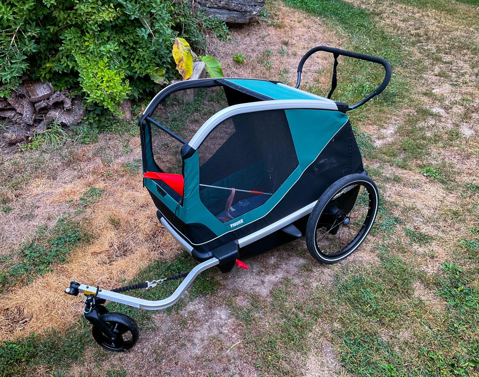 Game changer for my dog